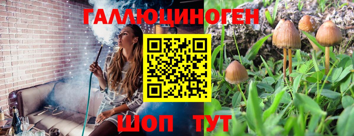 Псилоцибиновые грибы мицелий  Вход с VPN  Трёхгорный 